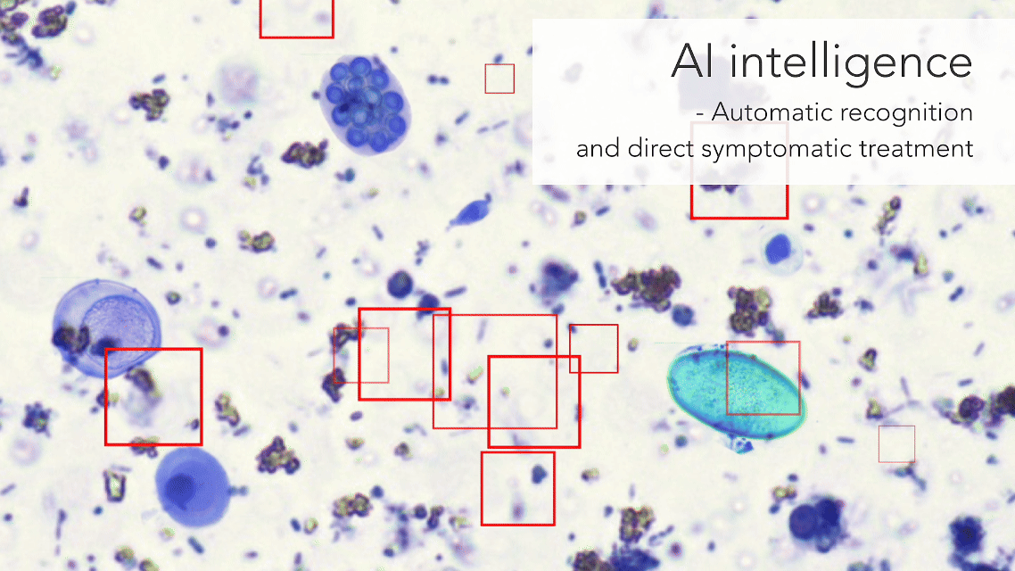 AI morphological scan